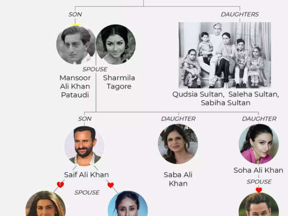 Pataudi Family