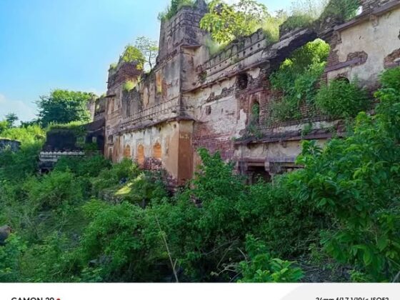 Exploring the Grandeur of Rampur Fort