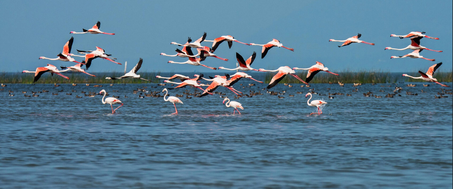 Chilika Lake in Odisha