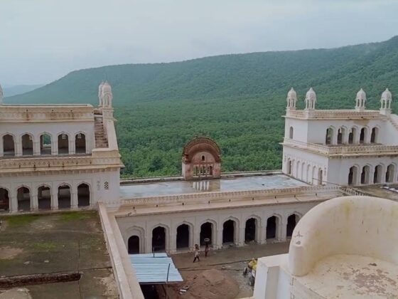 Safa-e-Shan: Royal Turban Tying by Surendra Bana